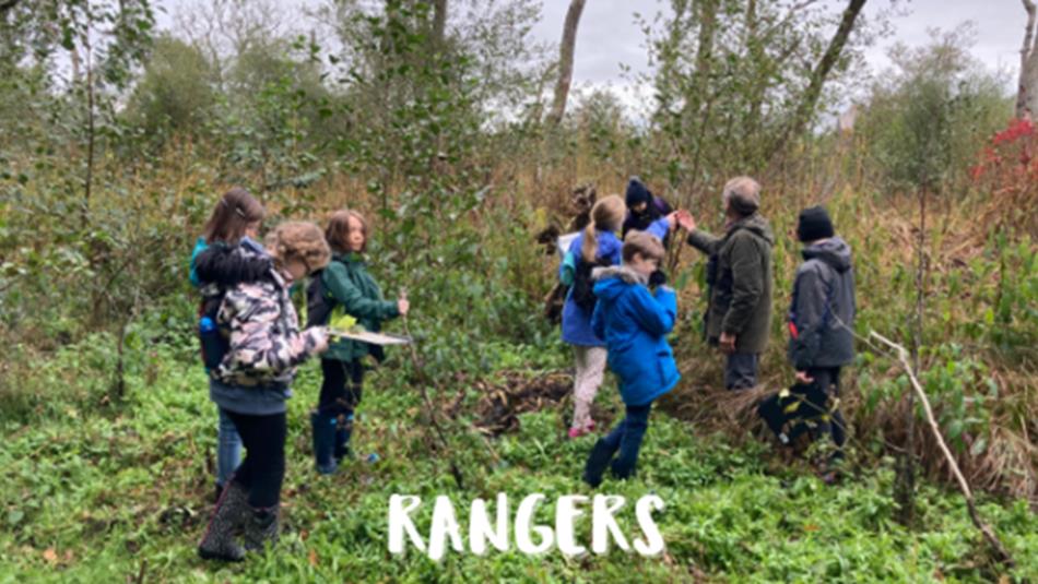 A group of children exploring woodland - Nature Rangers
