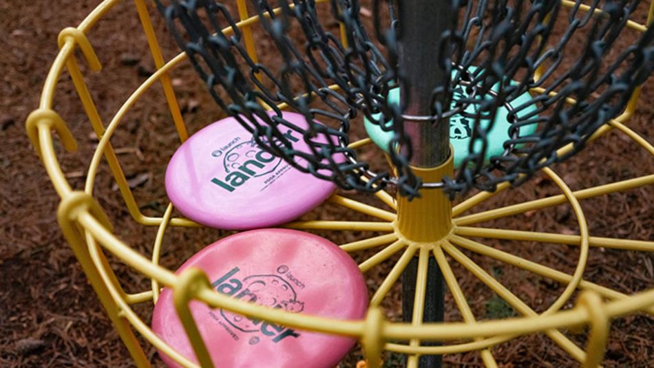 Hamsterley Forest Disc Golf
