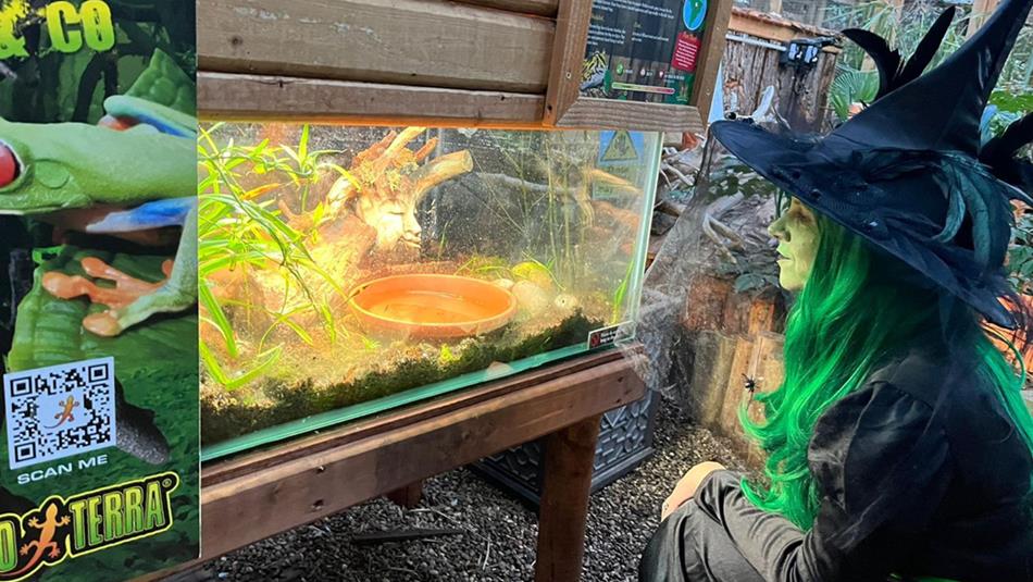A witch lurking between the tanks at Potter's World, Lanchester Garden Centre.