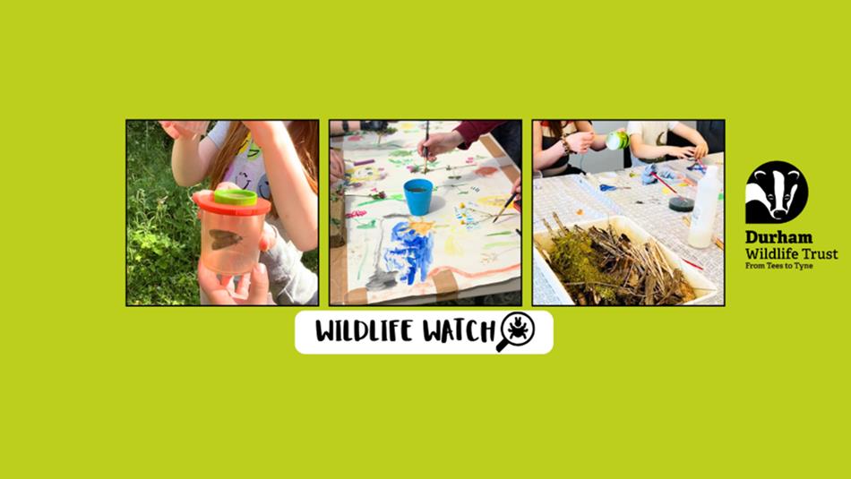 A selection of images of children painting and enjoying craft activities