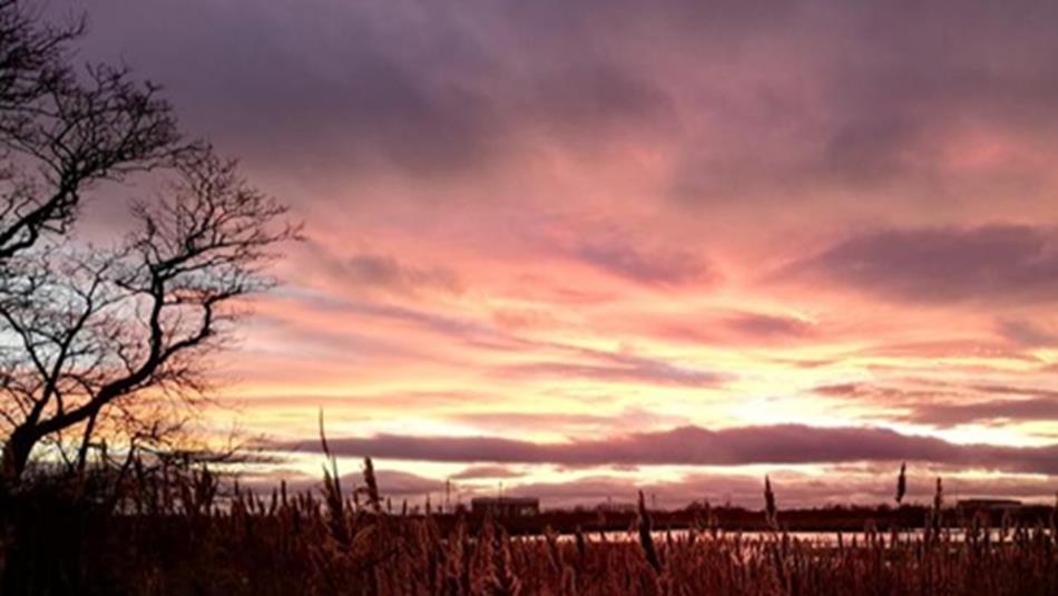 Twilight at RSPB Saltholme. A red, purple and orange sky behind the silhouettes of trees.