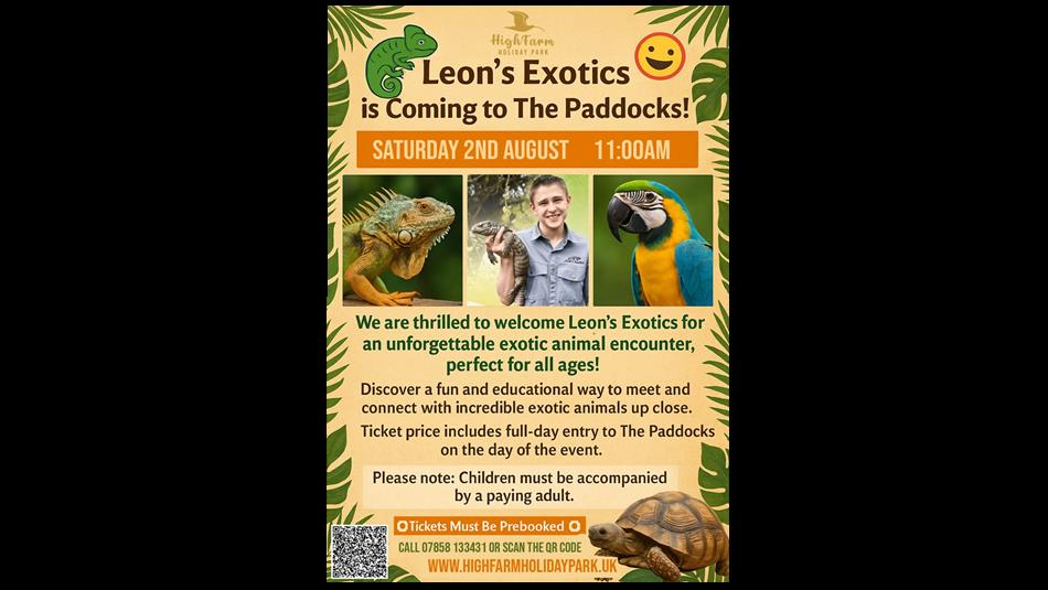 Iguana, macaw, tortoise and Leon holding a reptile.
