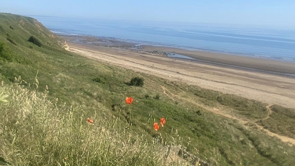 View of Crimdon Beach and dunes on a sunny day.