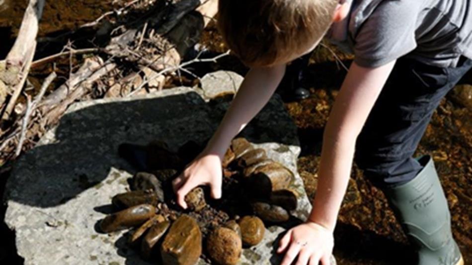 Child looking at fossils on a rock.
