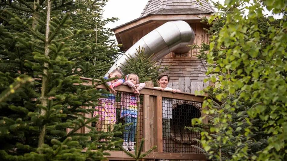 Three children peering over a fence in The Plotter's Forest