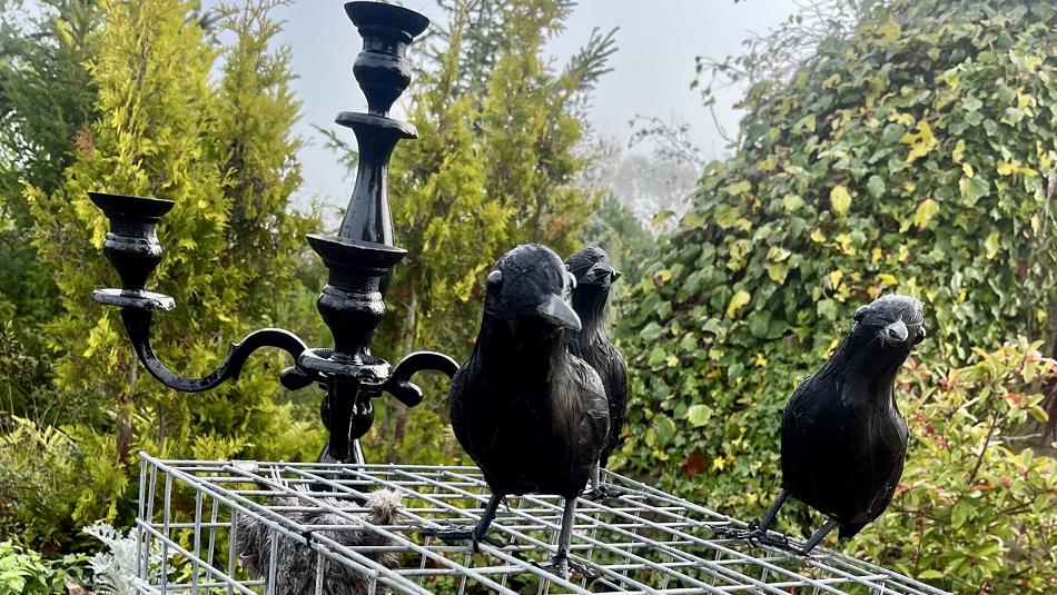 Halloween at Lanchester Garden Centre (decorations include crows).