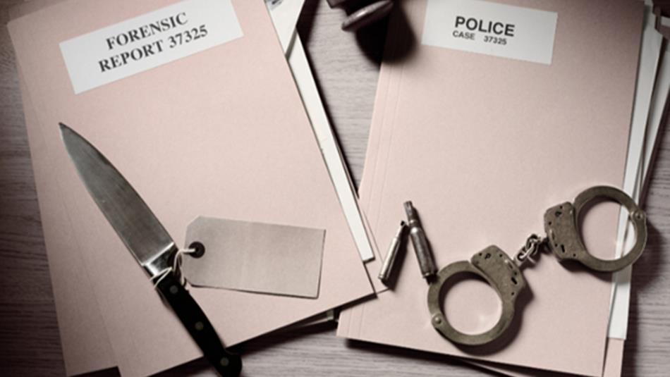 Documents which read, 'Forensic Report 37325' and 'Police Case 37325'