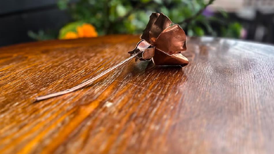 A Copper Rose