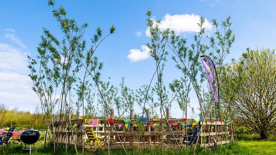 Trees and colourful bunting surrounding an area of Dalton Moor Farm.