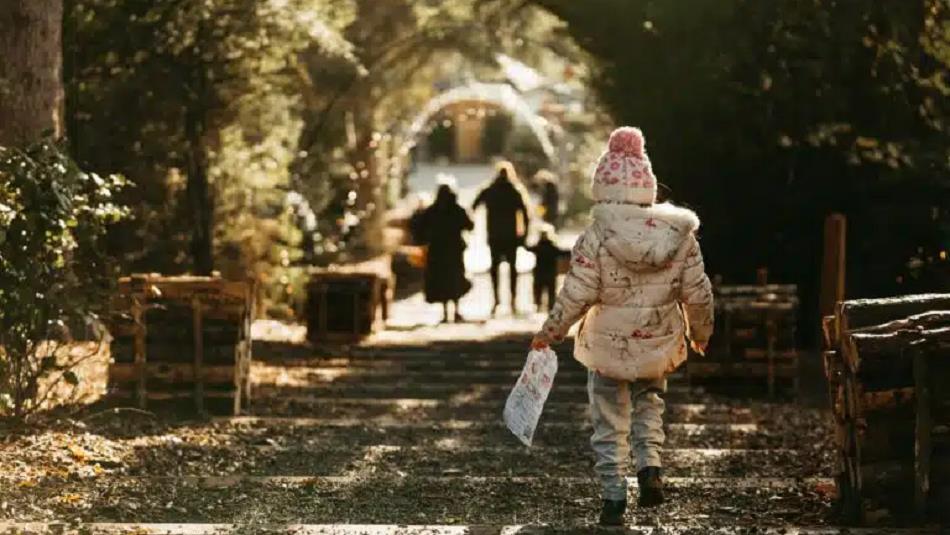 A little girl walking through The Plotter's Forest, other families can be seen in the distance enjoying the trail.