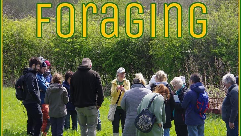 A group foraging at Dalton Moor Farm.