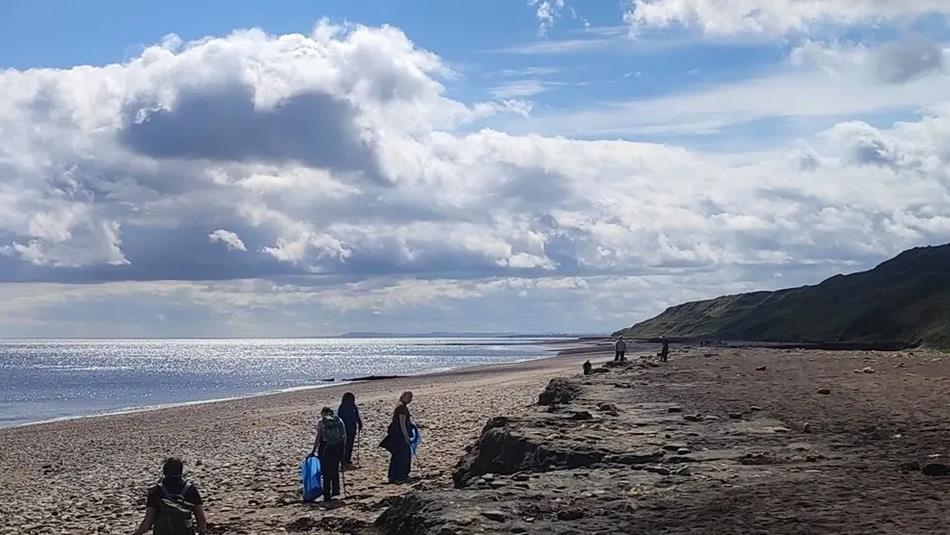 People cleaning Horden Beach.