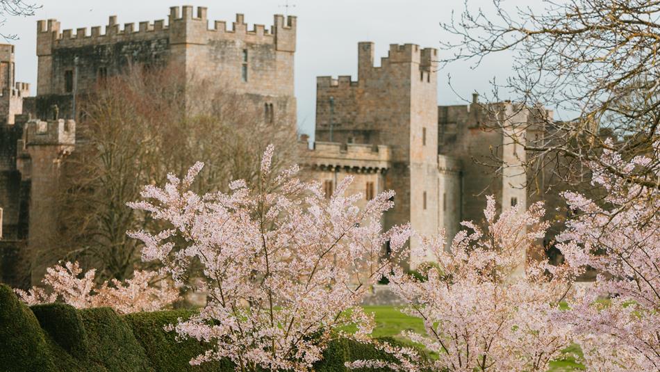 Spring Garden Fair at Raby Castle, Park & Gardens