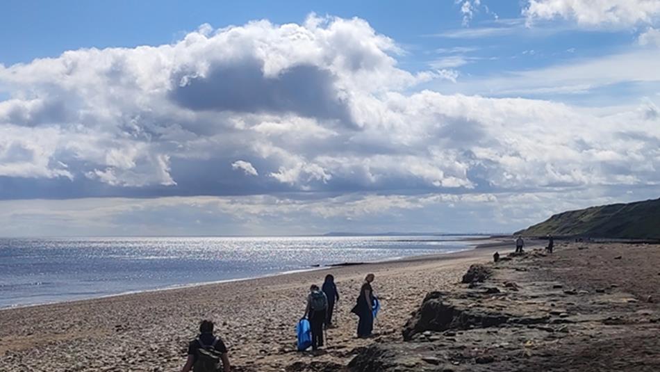 People cleaning up Horden beach.