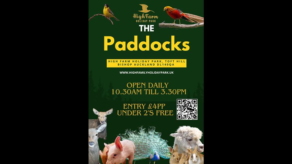 Sheep, a goat, a pig, rabbits and a peacock.