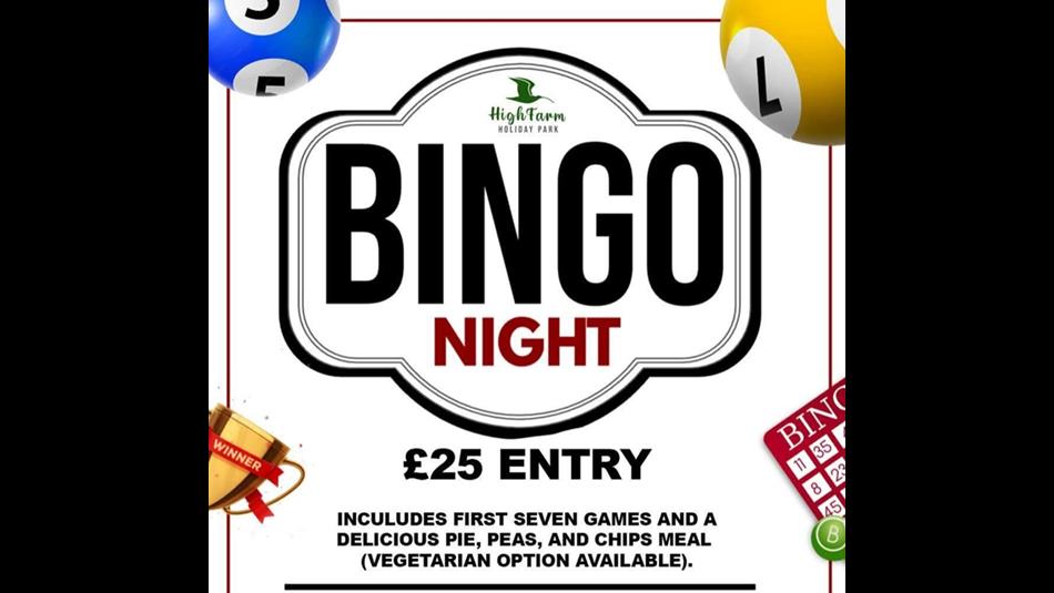 Bingo Night £25 Entry. Poster show bingo balls and cards.