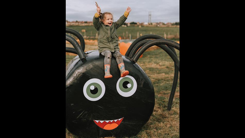 Child sitting on a giant spider - Pumpkin picking at Tweddle Farm