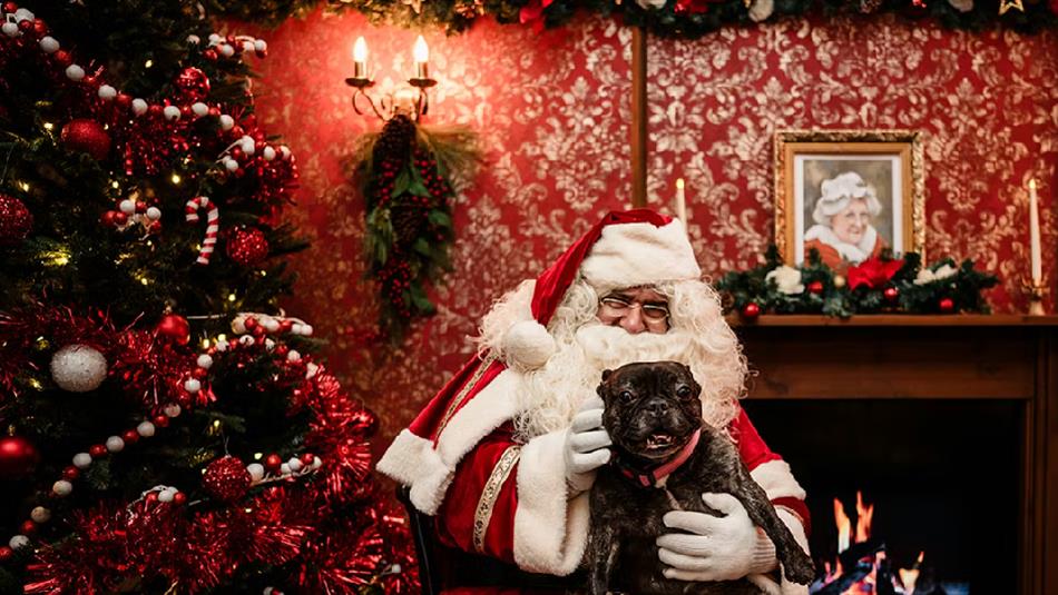 Santa cuddling a dog in front of a festive fireplace.