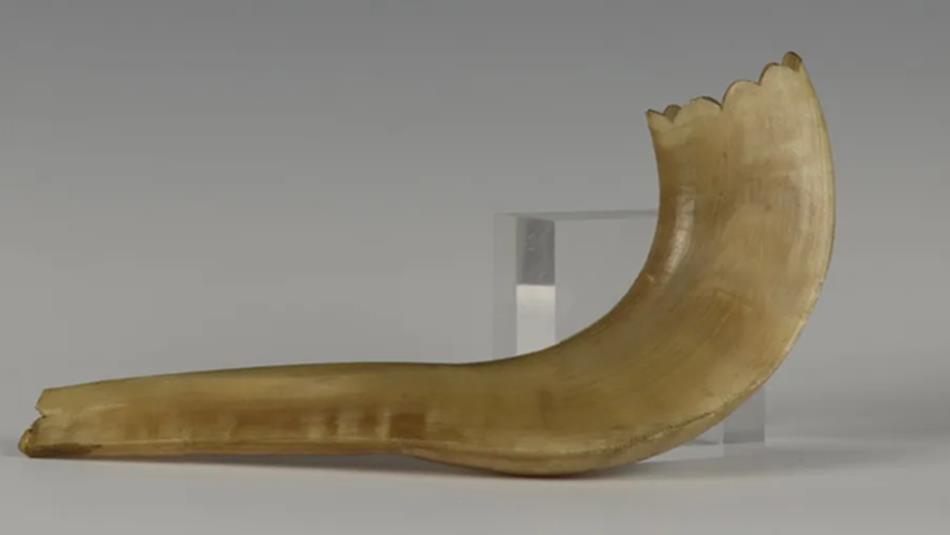 A Jewish shofar made from animal horn.