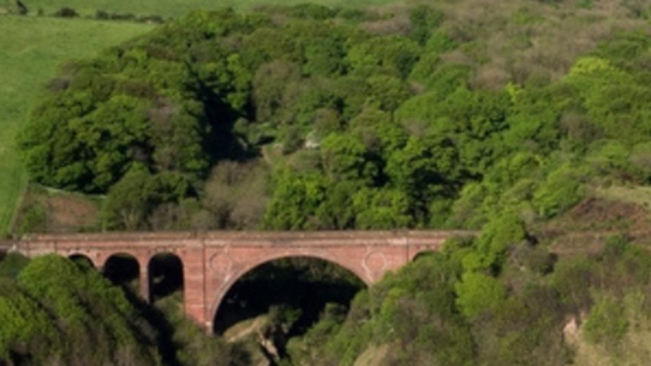 Aerial View of Hawthorn Dene