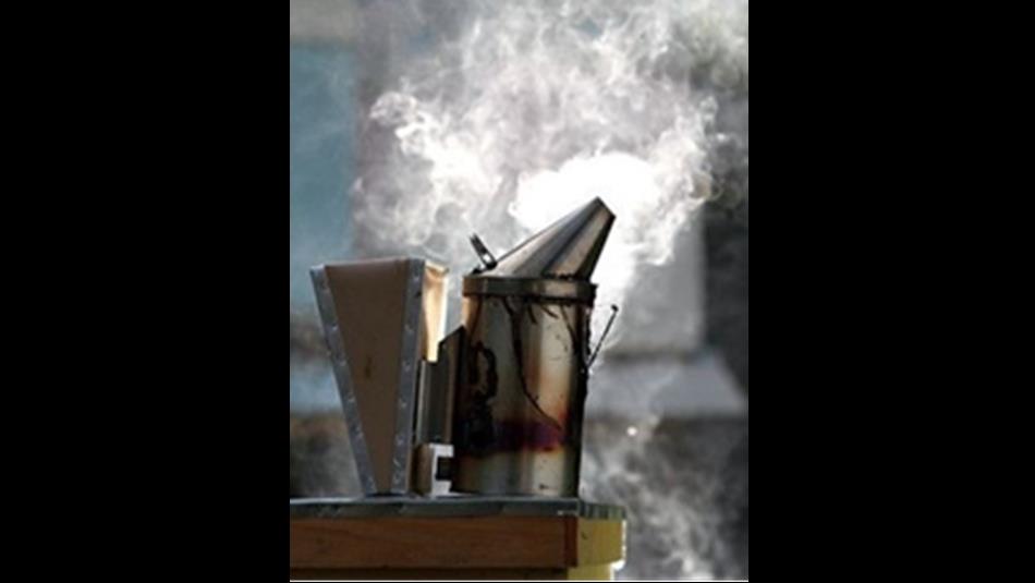 Bee responsible... Bee related courses. Beekeeping equipment and smoke.