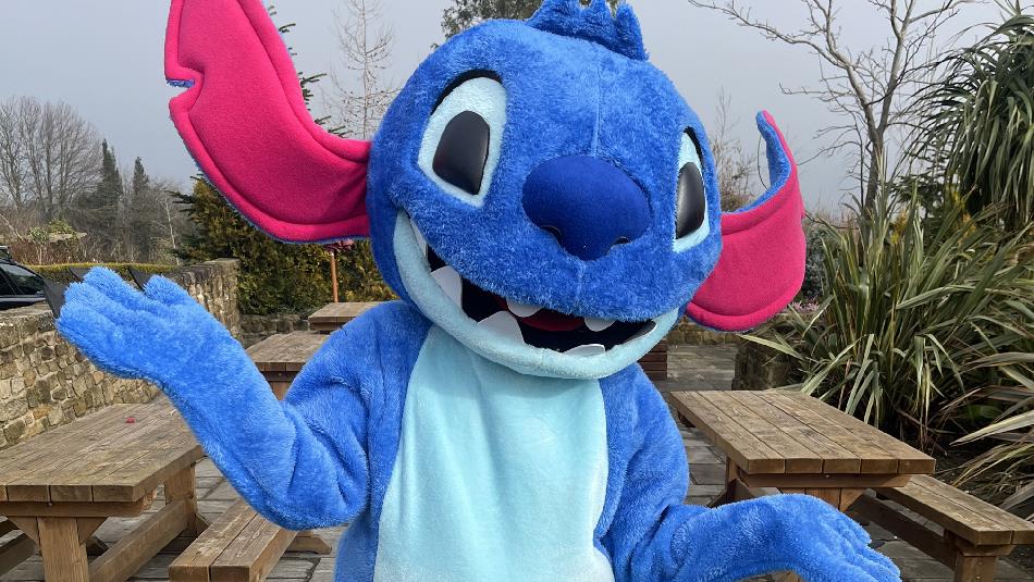 Stitch at Lanchester Garden Centre
