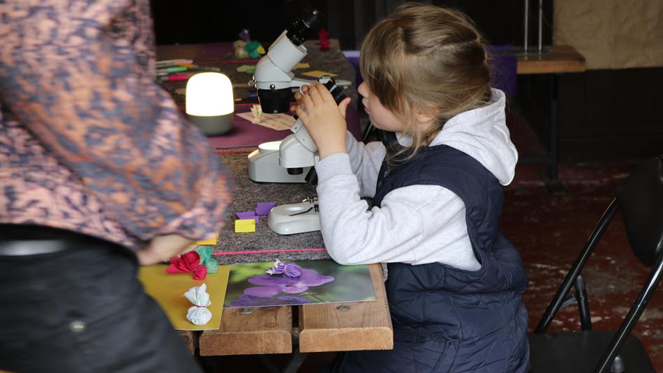 Child looking at a flower using a microscope.