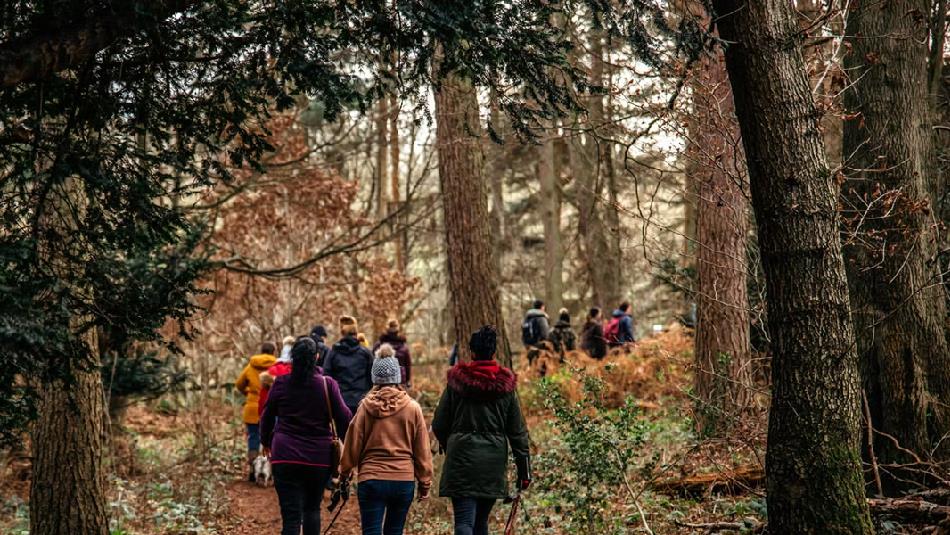 Dog walkers in the Beamish countryside.