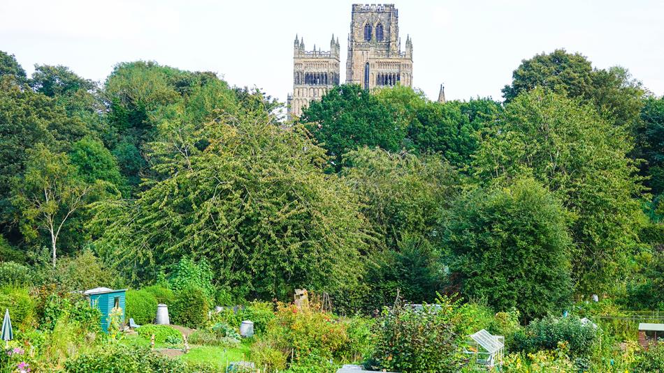 View of Durham Cathedral from St. Margaret's Allotments.