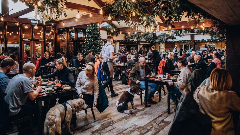 Visitors and their dogs enjoying a Full English Breakfast in the Durham Suite at South Causey Inn.