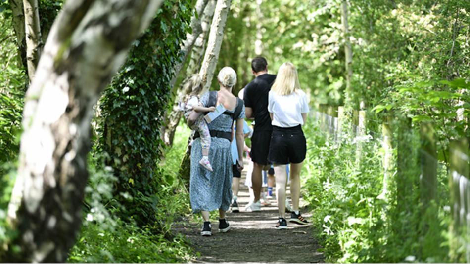 A small group of adults and children walking away along a leafy forest path in dappled sunlight