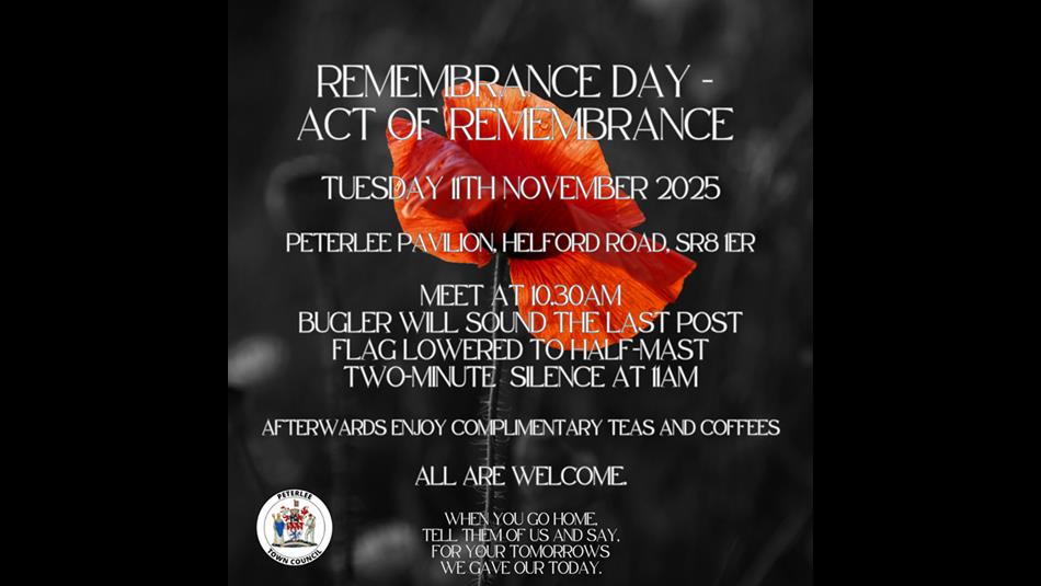 Poppy on poster. Remembrance Day, act of Remembrance.