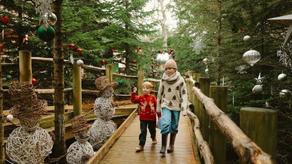 Children wearing woolly jumpers and hats, walking through a winter forest trail
