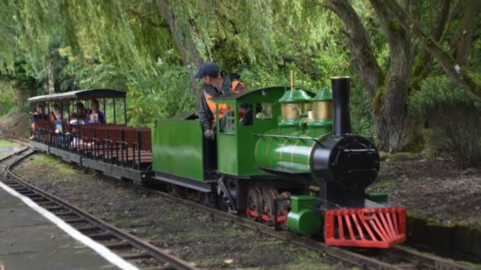 A small green steam train moving through nature