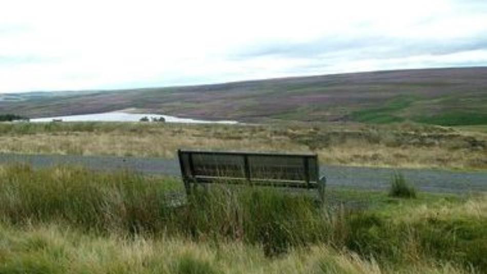 Landscape view of the countryside with a wooden bench in the foreground