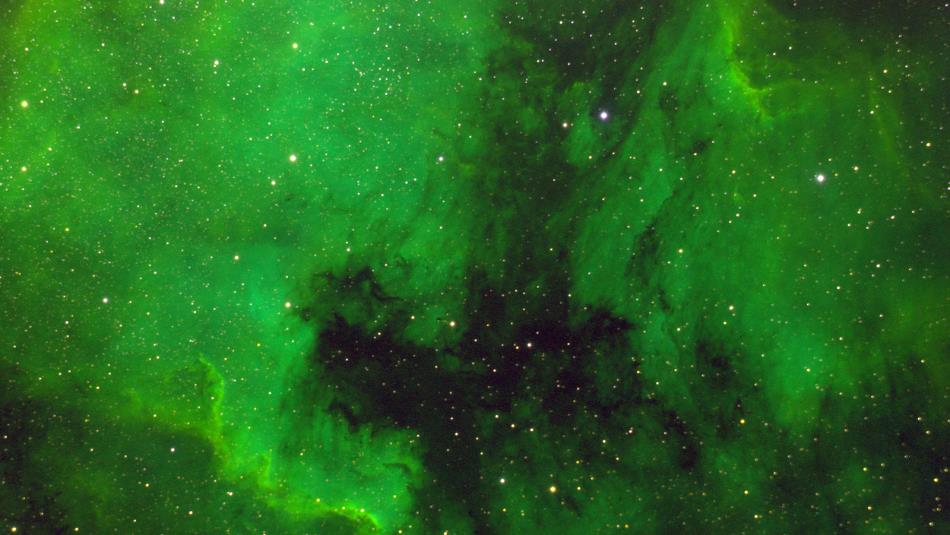 Wide-field view of the North America Nebula, a vast cloud of glowing green gas and dark dust scattered with thousands of stars.