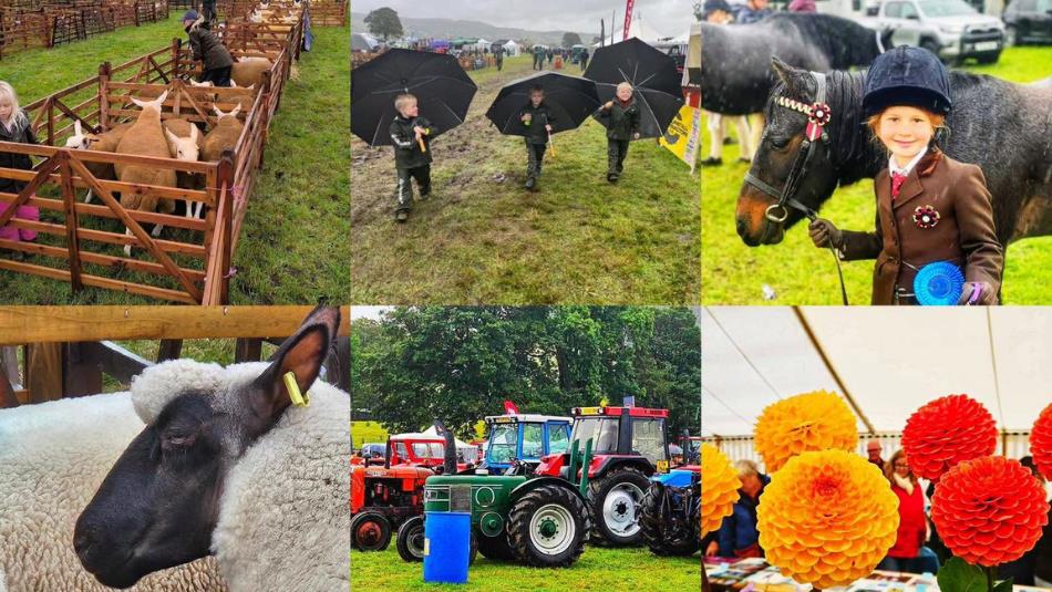 Images of farm yard animals, tractors and flowers
