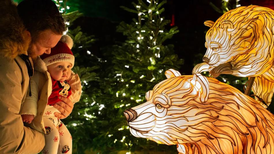 An adult holding a baby in festive clothes, looking at a light installation of a bear.