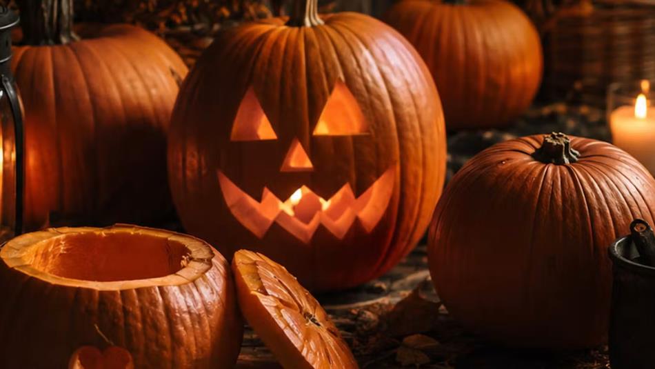 A glowing carved pumpkin, surrounded by other pumpkins.