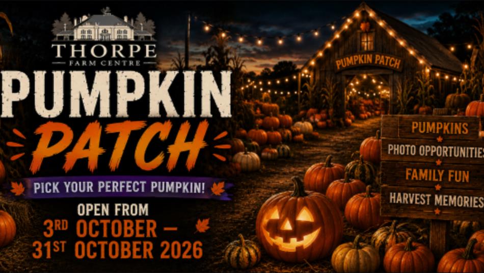 Poster for a pumpkin patch with spooky carved pumpkins on a field.