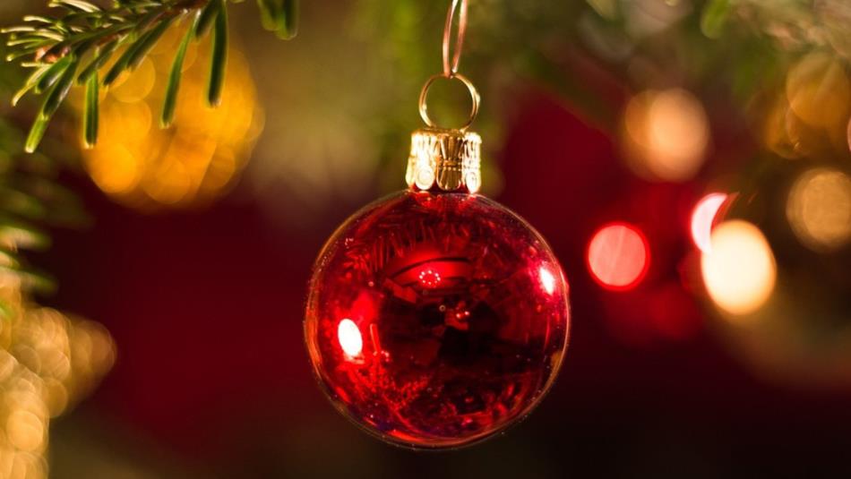 A red Christmas bauble on a tree.