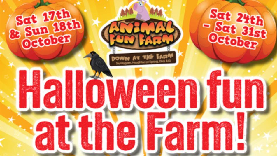 Halloween Fun at the Farm Poster, decorated with two pumpkins and a crow.