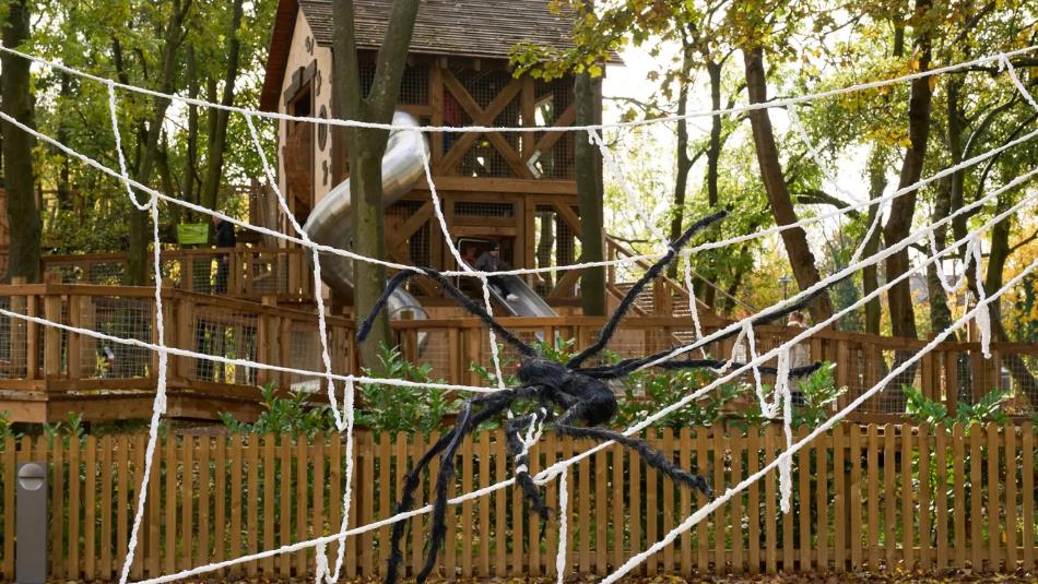 A pretend spider crawling in a large spiderweb at Hopetown.