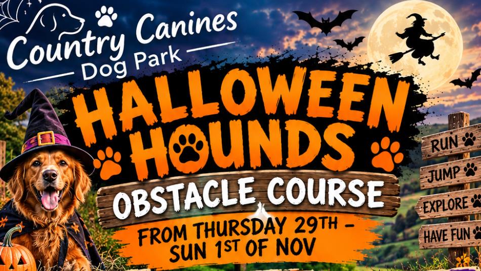 A Halloween poster, which reads 'Halloween Hounds, Obstacle Course' at Country Canines Dog Park, decorated with a full moon, bats, witches silhouette