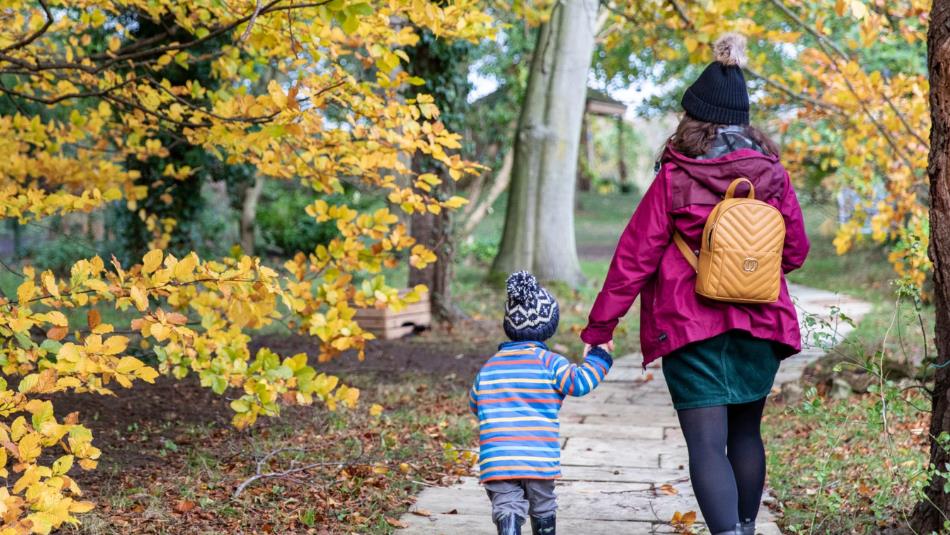 An adult and small child walking hand in hand down an autumnal path.