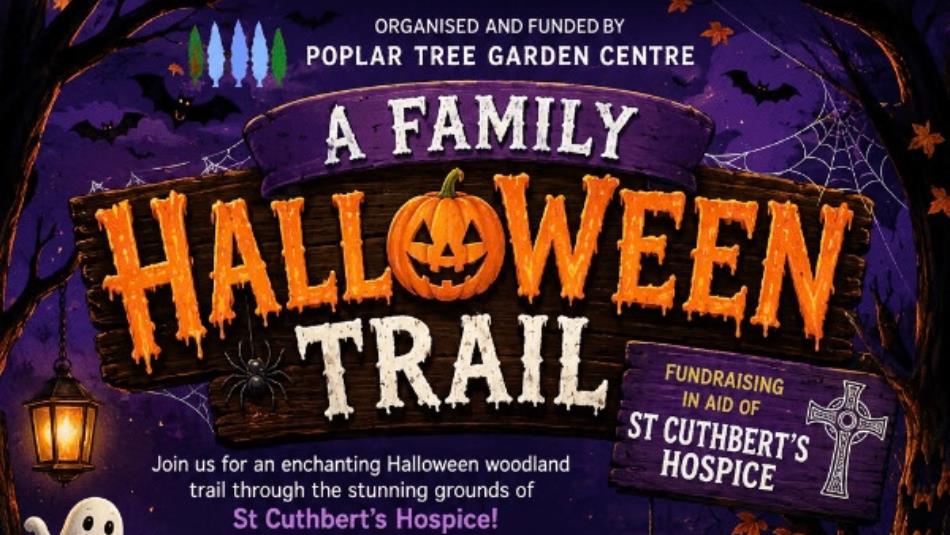 A spooky poster which reads ' A Family Halloween Trail,' decorated with purple smoke, carved pumpkins, bats and cobwebs.