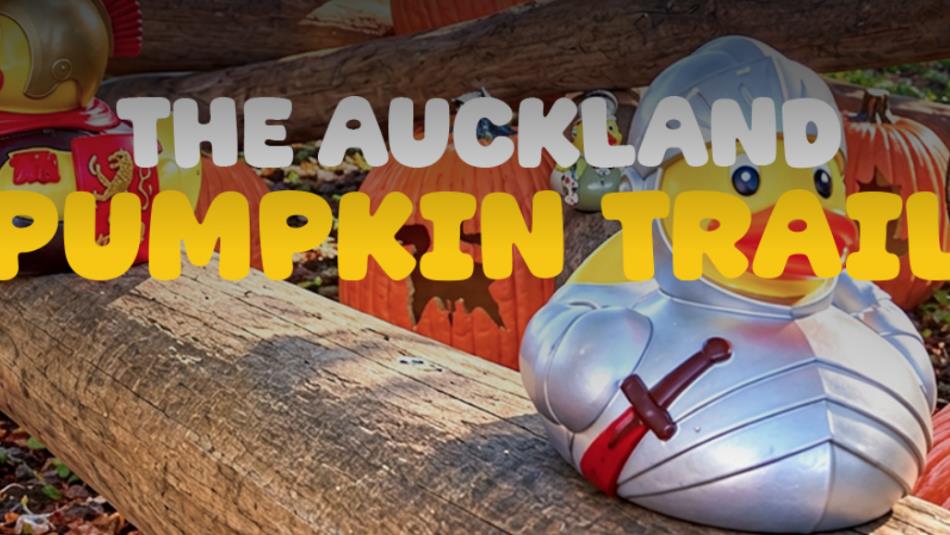 A rubber duck in the shape of a knight surrounded by carved pumpkins, the text reads 'The Auckland Pumpkin Trail.'