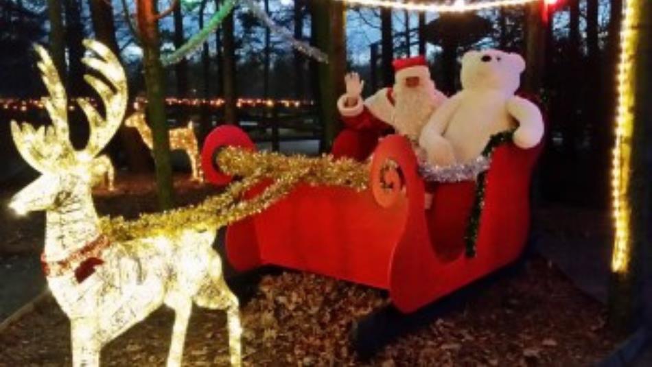 Santa Clause in a sleigh pulled by a light up reindeer.