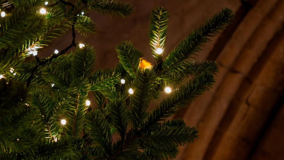 A Christmas tree in an historical stone room, decorated with a small bird and twinkling lights.