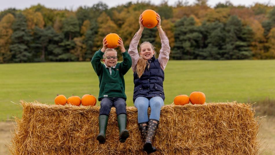 Two children sat on a hay bail in an autumnal field, smiling whilst holding up two pumpkins, and surrounded by other pumpkins either side of them.
